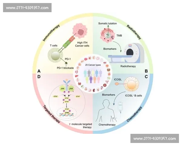 VS5导水技术在城市排水与海绵工程中的应用与性能优势解析研究